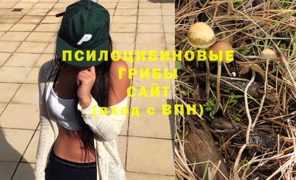 гашиш Кодинск