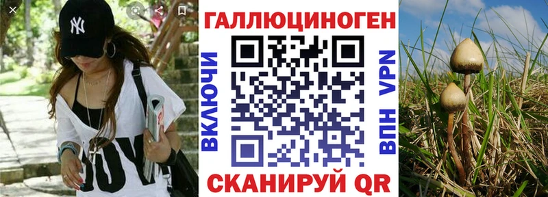 Псилоцибиновые грибы прущие грибы  Купить закладки  Кызыл 